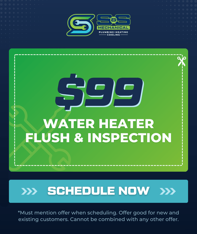 Water Heater Flush & Inspection